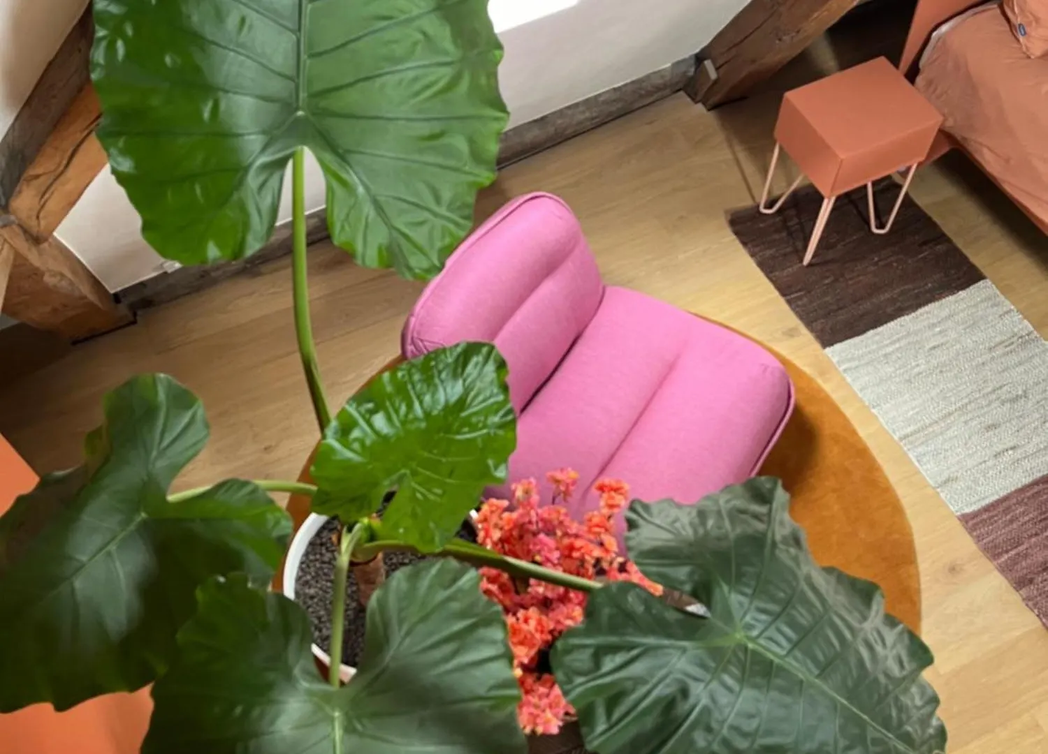 Bed & Breakfast Maison Brunon Bruges